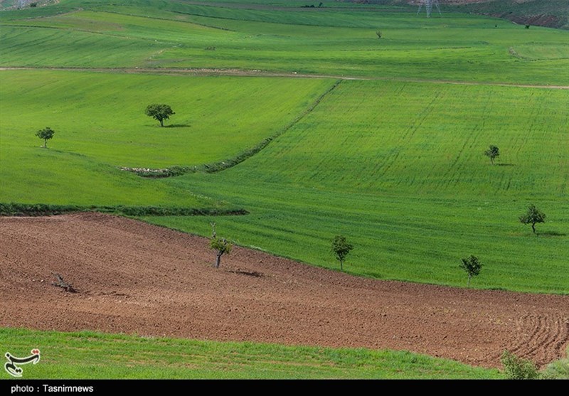 جلوه‌هایی زیبا از طبیعت بهاری خراسان شمالی به روایت تصاویر