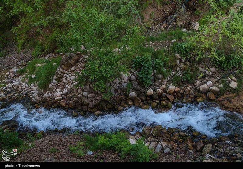 جلوه‌هایی زیبا از طبیعت بهاری خراسان شمالی به روایت تصاویر