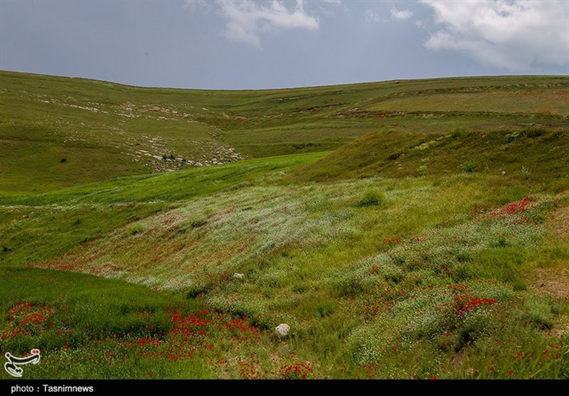 جلوه‌هایی زیبا از طبیعت بهاری خراسان شمالی به روایت تصاویر