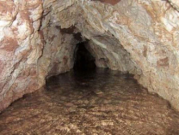 فاجعه زیست محیطی در کرمان با بالا آمدن آب های زیر سطحی