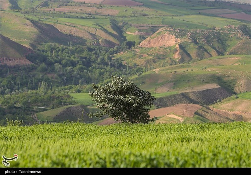 جلوه‌هایی زیبا از طبیعت بهاری خراسان شمالی به روایت تصاویر