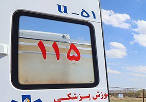 مادر بازفتی نوزاد خود را در آمبولانس به دنیا آورد