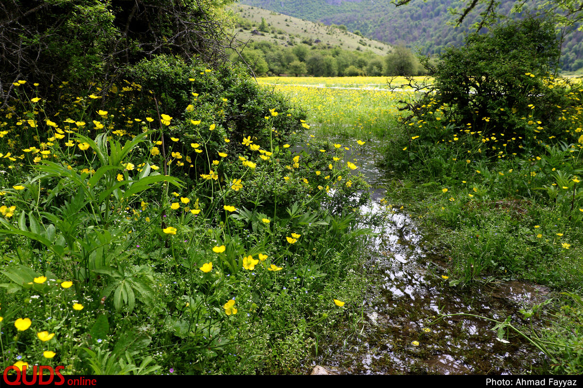 عکس/ بهشت اردیبهشت ایران