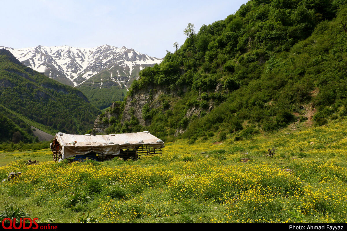 عکس/ بهشت اردیبهشت ایران