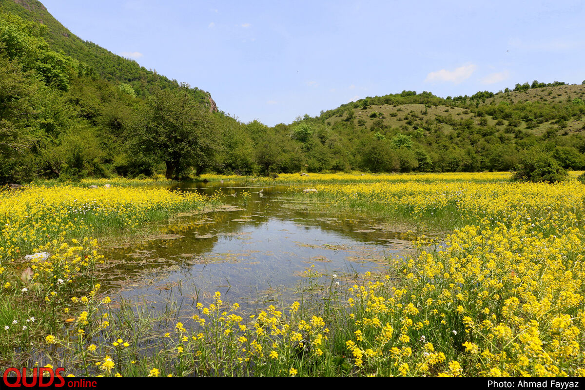 عکس/ بهشت اردیبهشت ایران