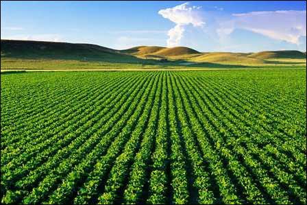 توصیه‌های سازمان هواشناسی به کشاورزان گیلانی تا ۲۳ خرداد