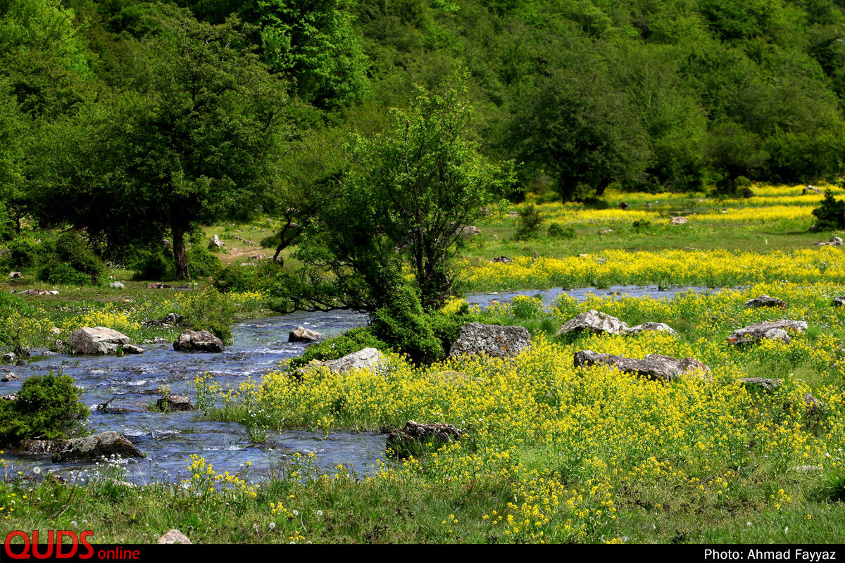 عکس/ بهشت اردیبهشت ایران