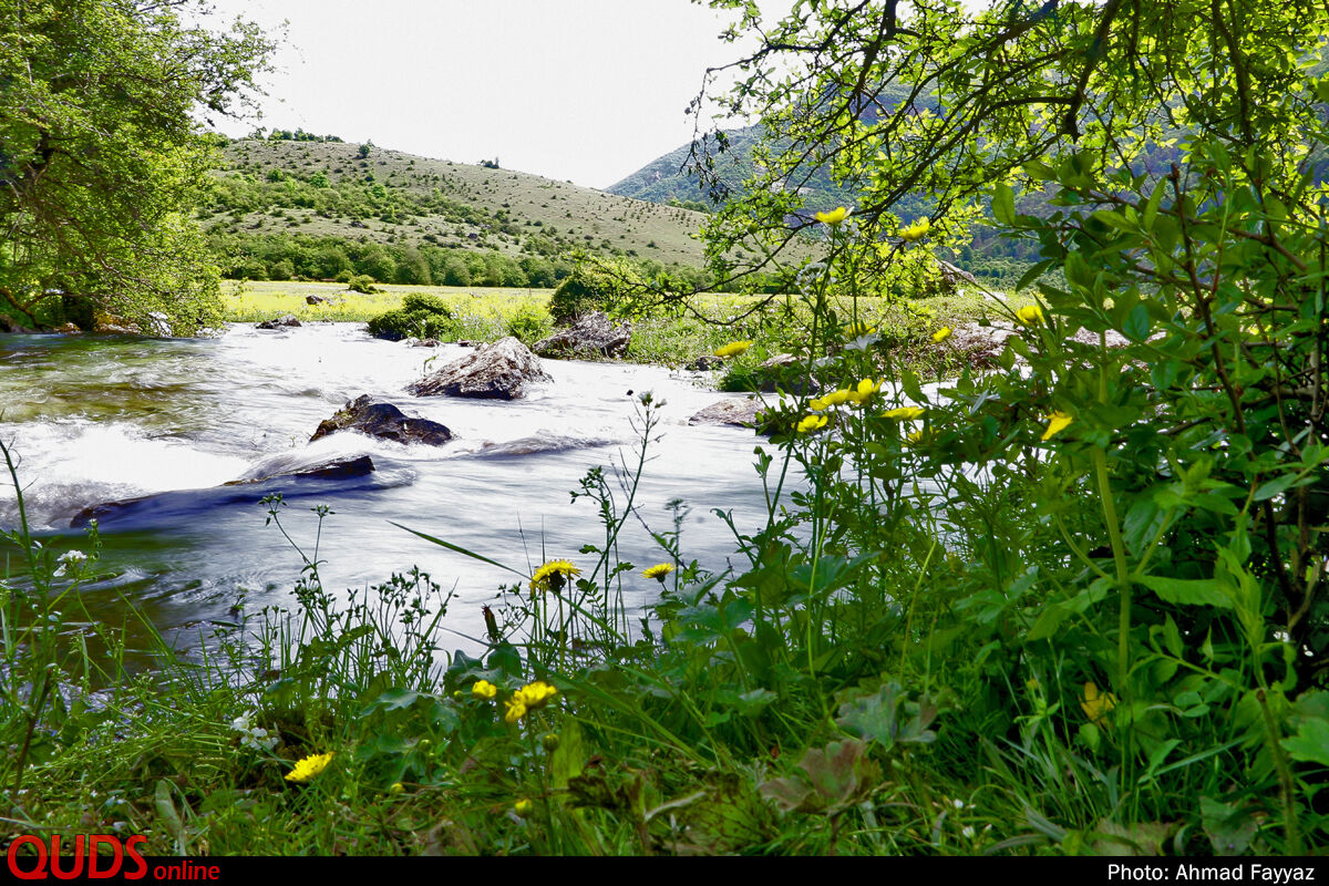 عکس/ بهشت اردیبهشت ایران