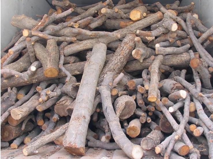 کشف 9 تن چوب جنگلی قاچاق در کردکوی