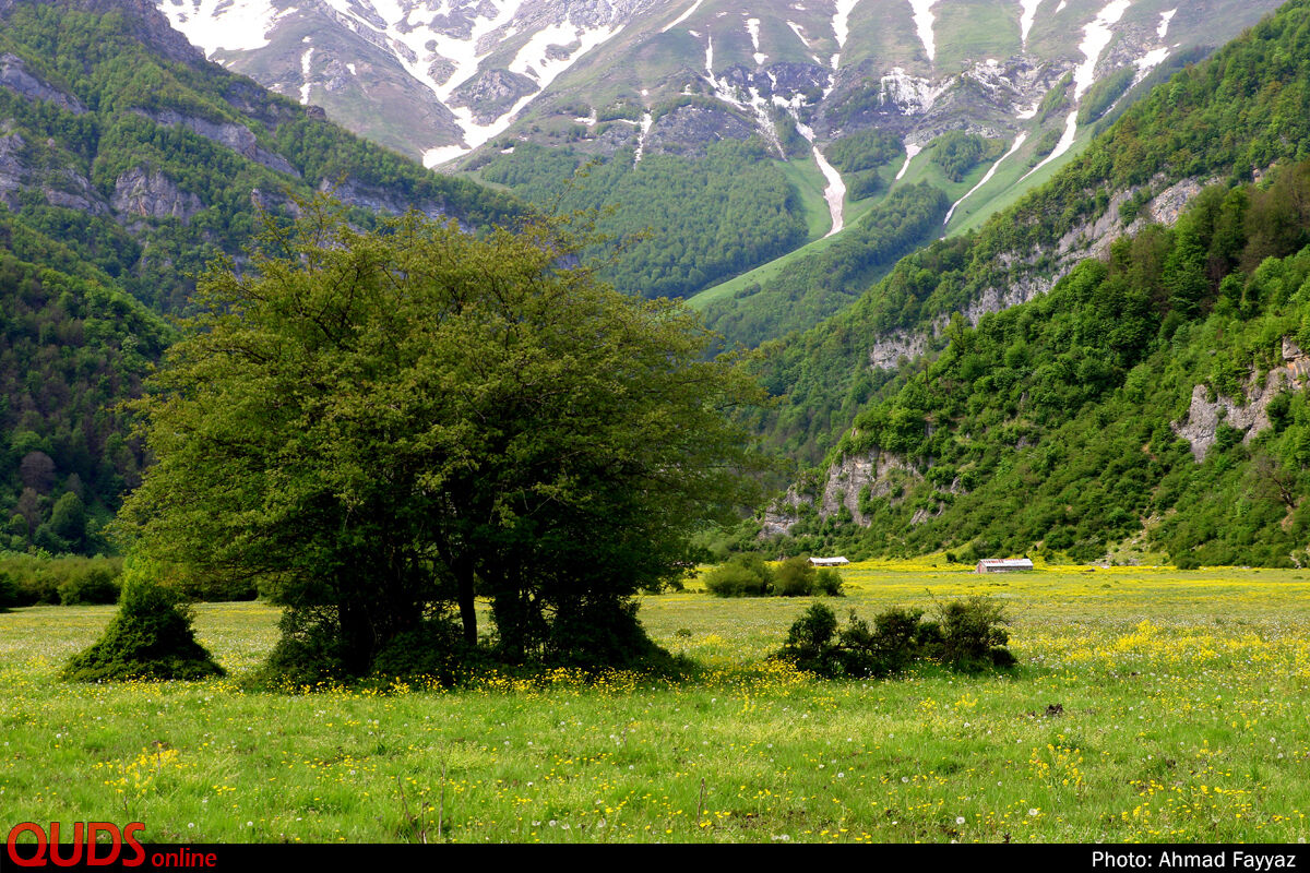 عکس/ بهشت اردیبهشت ایران