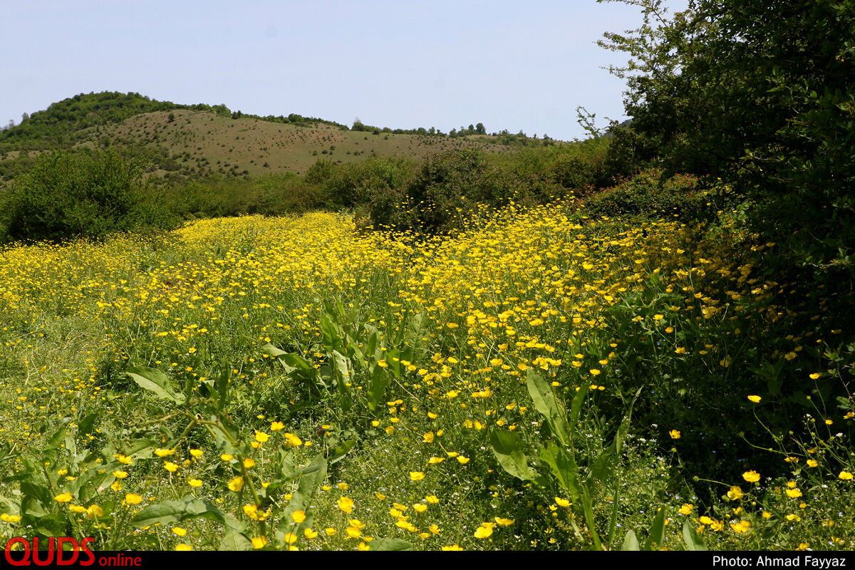 عکس/ بهشت اردیبهشت ایران