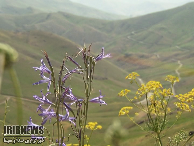آسمان زنجان صاف تا قسمتی ابری همراه با رعد و برق