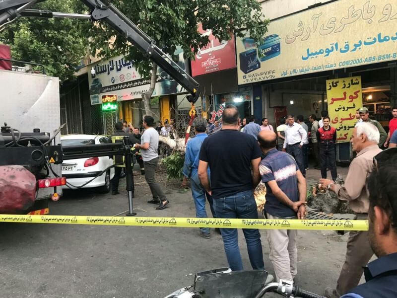 وزش باد شدید در شیراز ، حادثه آفرید