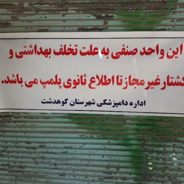 یک واحد قصابی به علت کشتار غیرمجاز در لرستان پلمب شد