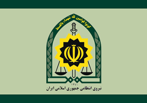 دستگیری هفت سارق حرفه‌ای در لردگان
