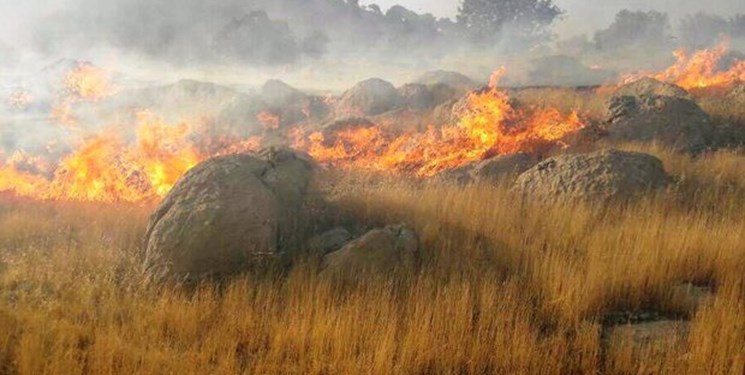 رعدو برق باعث آتش سوزی در «مله» کوه پلدختر شد