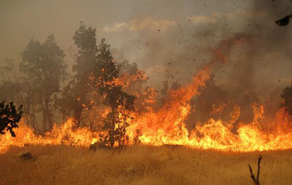 آتش سوزی در گدار مزار کلکوییه ارزوئیه