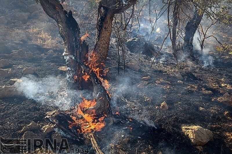 ۱۵۰ هکتار از مراتع و جنگل های گچساران طعمه حریق شد