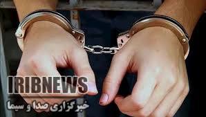 دستگیری سارق اماکن خصوصی در ابهر