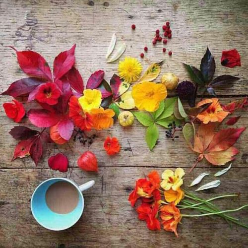 اگر دیروز افتاده ای امروز بلند شو