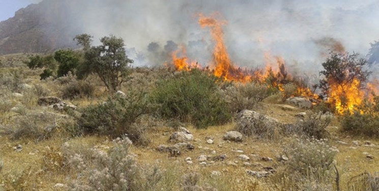 آتش‌سوزی گسترده در مراتع جنگلی روستای «گله جار»