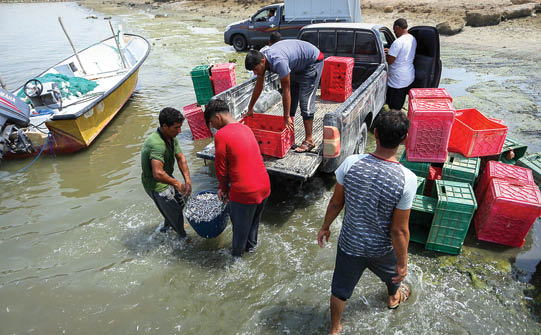 جزیره رنگ‎ها و رنج‎ها