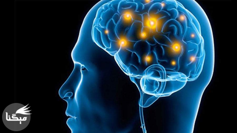 در مغز یک بیمار روانی دقیقا چه خبر است؟