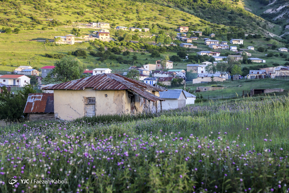 عکس/ منطقه حفاظت شده تماشایی در جنگل های گلستان