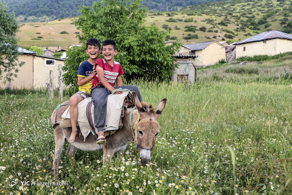 عکس/ منطقه حفاظت شده تماشایی در جنگل های گلستان