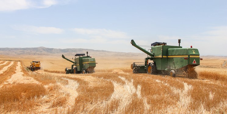 خرید گندم در زنجان آغاز شد