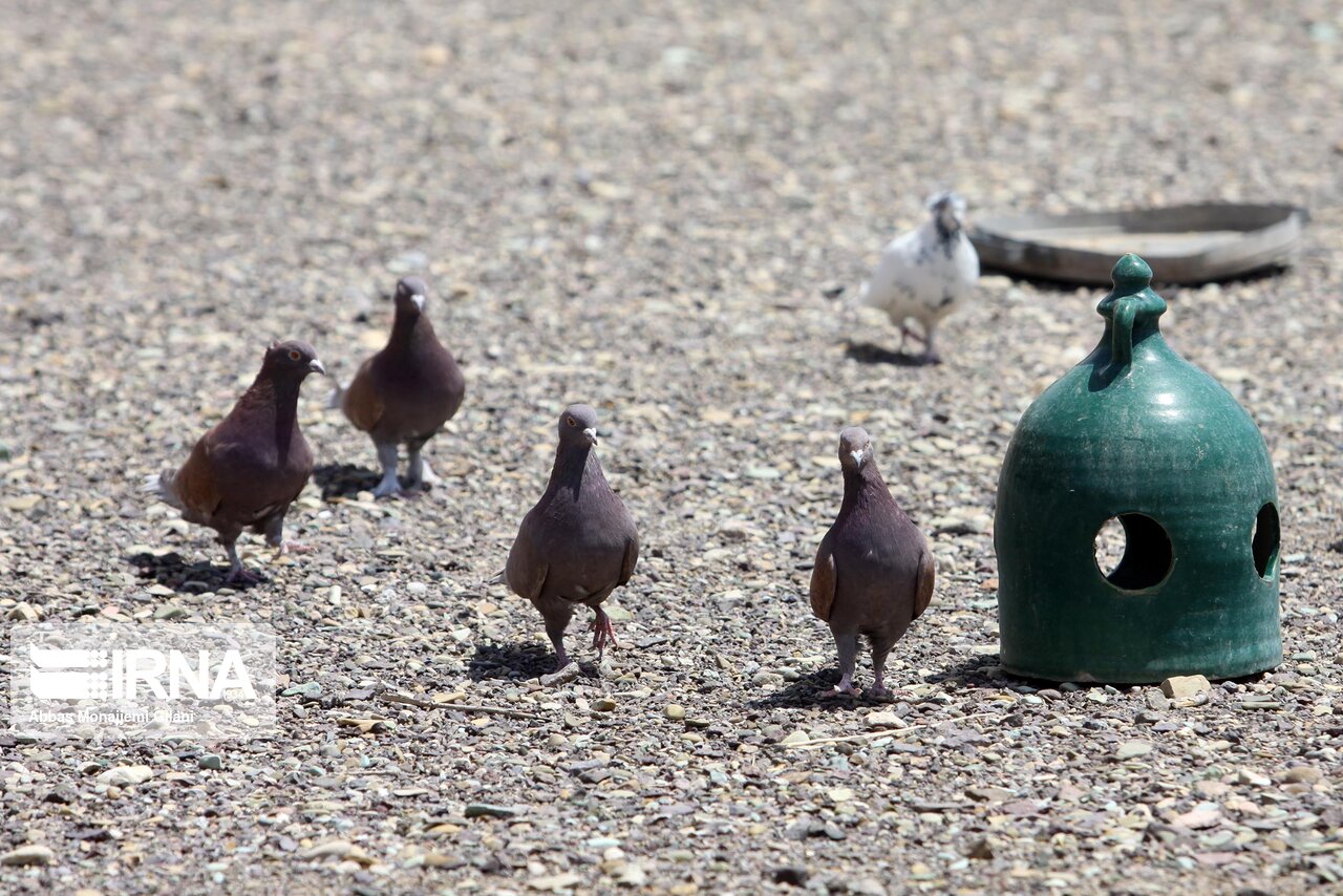 کاروانسرای قدیمی قم 