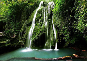 آبشار تمام خزه ای در ایران 