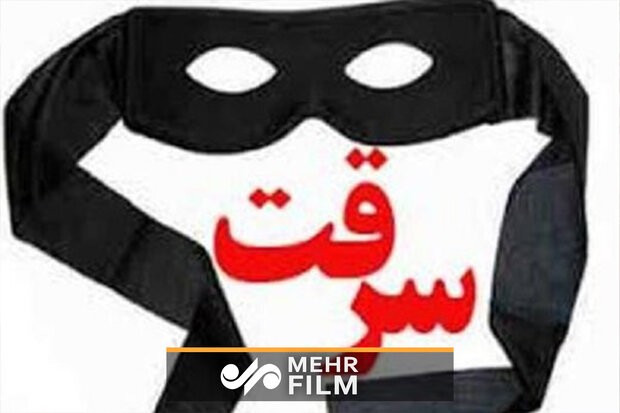دستگیری ۱۳ سارق در طرح سه روزه پلیس ایلام