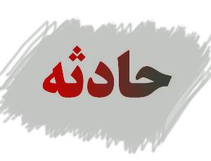 مرگ کارگر مشگین شهری بر اثر سقوط از درخت