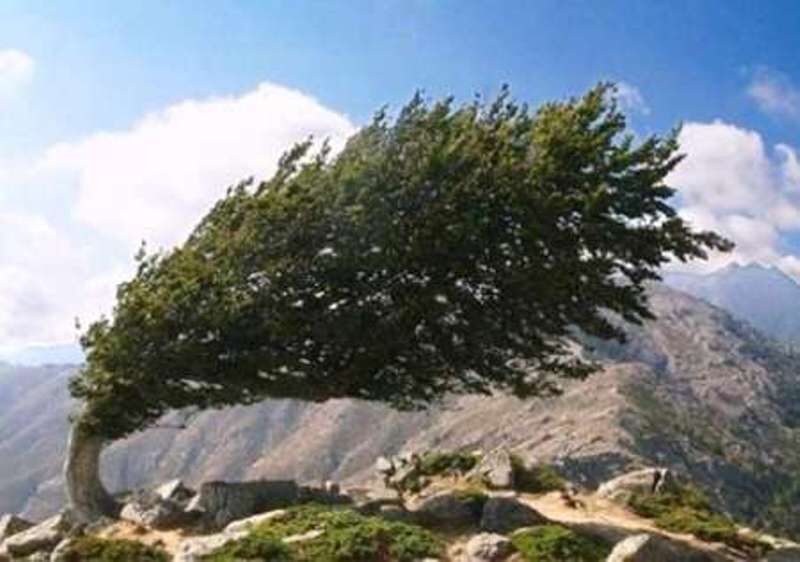 پیش بینی تداوم گرما و وزش باد شدید در استان سمنان