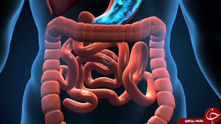 چه زمانی برای تخلیه روده‌ها مناسب است؟
