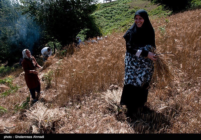 عکس/ زندگی در روستای کوهستانی زلت بهشهر