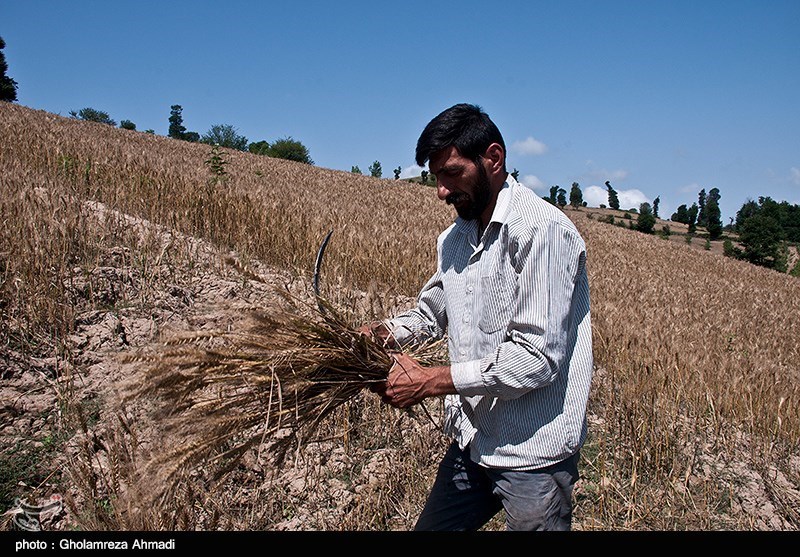 عکس/ زندگی در روستای کوهستانی زلت بهشهر