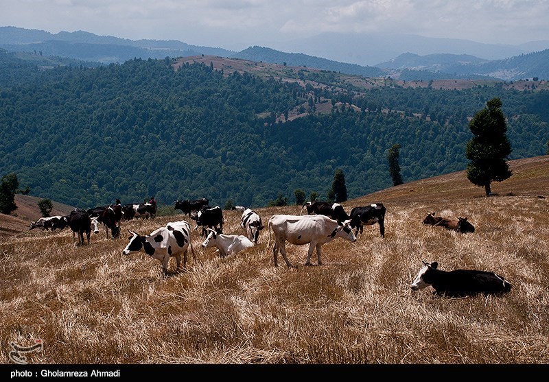 عکس/ زندگی در روستای کوهستانی زلت بهشهر