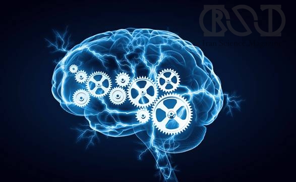 افزایش توانمندی‌های مغز با کارهای یدی