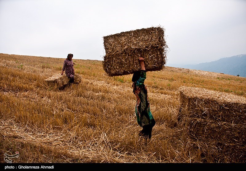 عکس/ زندگی در روستای کوهستانی زلت بهشهر