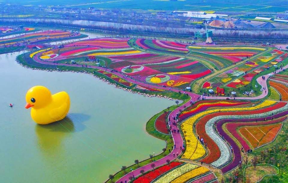 پارک لاله های هلندی در چین!