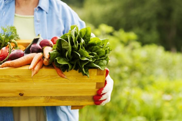 7 دلیل برای اضافه کردن مواد غذایی ارگانیک به سفره‌تان