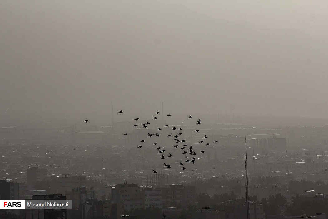 عکس/ آسمان بیرجند در غبار