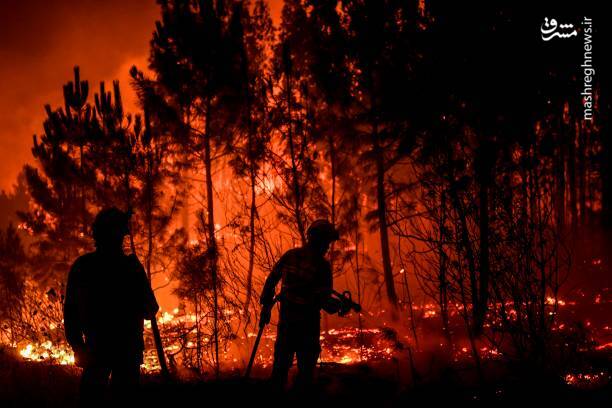 آتش سوزی گسترده در پرتغال