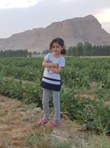 آخرین خبر | برگزیده