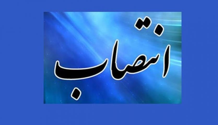 علی محمدی مدیر عامل فولاد خوزستان شد