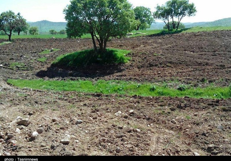 ۱۰۰ هکتار از اراضی ملی در دیلم به بیت المال برگردانده شد