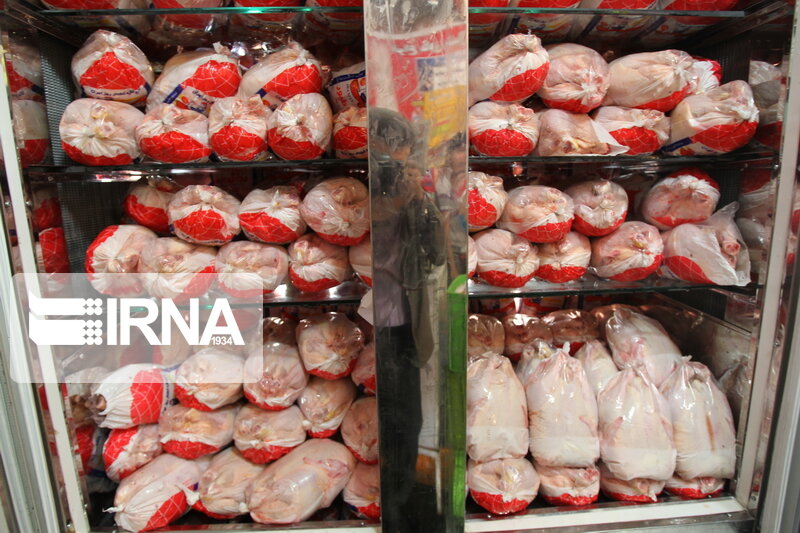 میزان تولید مرغ در ایلام ۲۵ درصد افزایش یافت