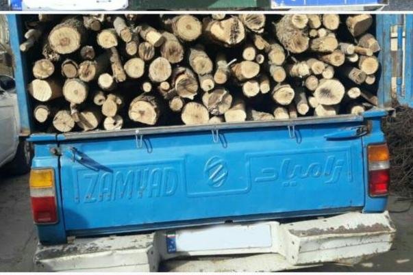 ۲۱ متهم مرتبط با قاچاق چوب در استان سمنان دستگیر شدند